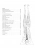 Анатомия йоги. Атлас-раскраска. Визуальный гид по телу - от структуры к осознанной практике