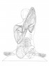 Анатомия йоги. Атлас-раскраска. Визуальный гид по телу - от структуры к осознанной практике