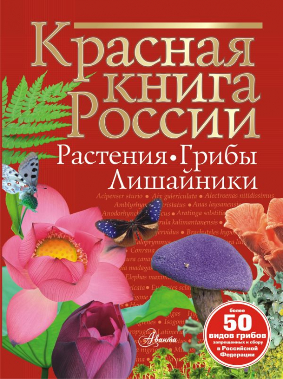 Красная книга России. Растения. Грибы. Лишайники