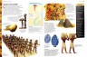 Древний Египет и Древняя Греция. От пирамид до первой демократии