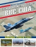 Эскадрильи "Агрессор" ВВС США: Изображая "Русскую угрозу"