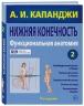 Нижняя конечность. Функциональная анатомия. Том 2