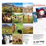 Эти забавные альпаки. Календарь настенный на 16 месяцев на 2021 год