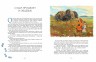 Сказки плато Путорана. Заповедные истории Саши Прошкина