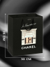 Абсолютно CHANEL. Комплект с подарочным пакетом