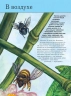 Насекомые. Полная энциклопедия