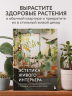 Эстетика живого интерьера. Как создать стильное пространство с помощью комнатных растений