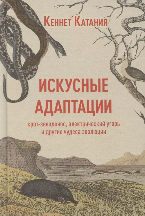 Искусные адаптации