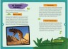 Динозавры. Детская энциклопедия в коробке