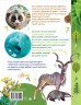 О животных и растениях