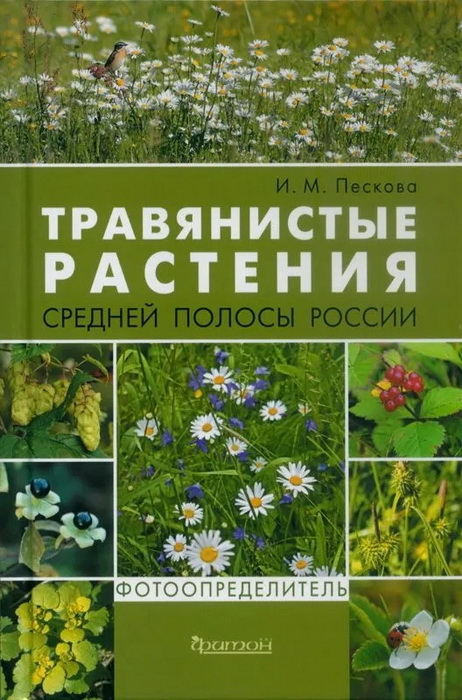Травянистые растения средней полосы России. Фотоопределитель