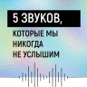 Шум. История человечества. Необыкновенное акустическое путешествие сквозь время и пространство