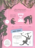Животные. Инфографика