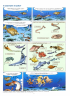Морские животные в комиксах. Том 5