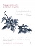 Японская живопись суми-э. Цветы четырех сезонов. Пишем растения тушью