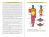 Атлас анатомии человека. Учебное пособие для студентов высших медицинских учебных заведений