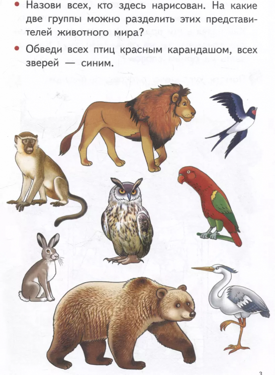 Изучаем окружающий мир. 4-5 лет