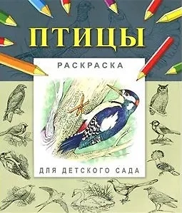 Птицы. Раскраска для детского сада