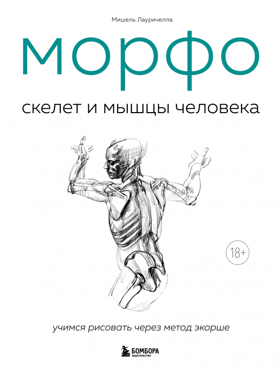 Морфо. Скелет и мышцы человека. Анатомия для художников
