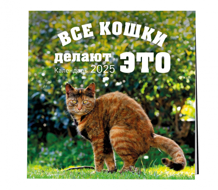 Все кошки делают это. Календарь настенный на 2025 год