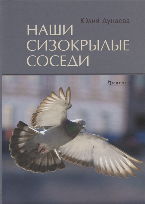 Наши сизокрылые соседи