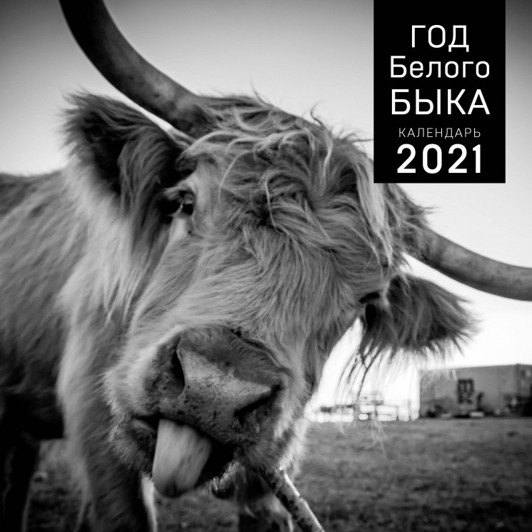Год белого быка. Календарь настенный на 2021 год