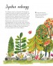 Природа вокруг нас. Растения и Деревья. 2 книги в 1 томе-перевертыше