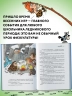 Неандертальский мальчик в школе и дома. Книга 2