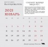 Дикие кошки России. Фотографии Валерия Малеева. Календарь настенный на 2021 год