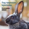 Год черного кролика. Календарь настенный на 2023 год