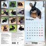 Год черного кролика. Календарь настенный на 2023 год
