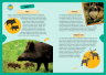 Животные планеты. Интерактивная детская энциклопедия с магнитами. В коробке