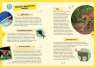 Животные планеты. Интерактивная детская энциклопедия с магнитами. В коробке