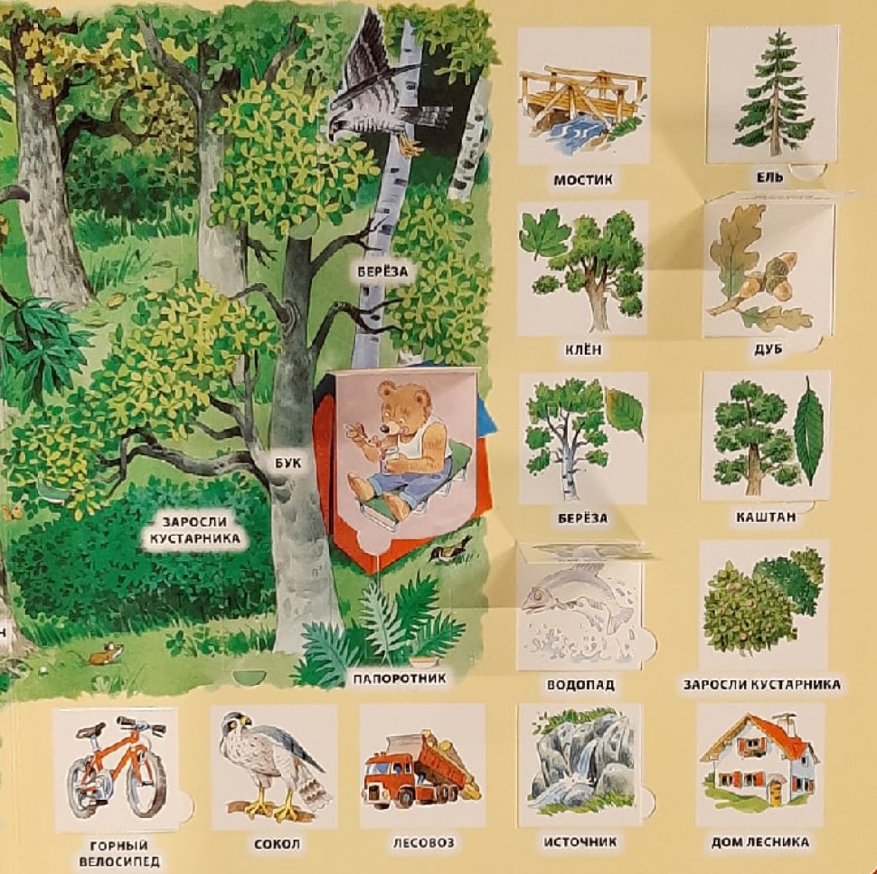 Книга лес. Книги о лесе для детей. Книга в лесу. Книги про лес для школьников. Книжка в лесу.