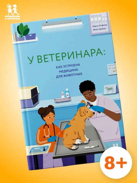 У ветеринара. Как устроена медицина для животных