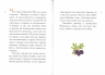 Житие святых праведных Иоакима и Анны