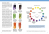 Теория цвета. Настольный путеводитель: от базовых принципов до практических решений