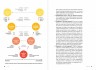 Я - CEO. Как построить карьеру, бизнес в 200 странах и прожить 30000 дней счастливо