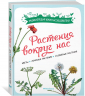 Растения вокруг нас. Цветы. Лечебные растения. Съедобные растения