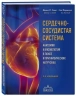 Сердечно-сосудистая система. Анатомия и физиология в покое и при физических нагрузках