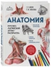 Анатомия. Русско-латинский атлас-раскраска