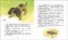 Рассказы и сказки о животных. Читаем от 3 до 6 лет