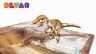 Динозавры. 4D Энциклопедия в дополненной реальности. 33 оживающих динозавра