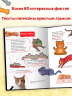 Кошки. Большие секреты маленьких хищников