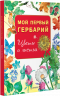 Мой первый гербарий. Цветы и листья