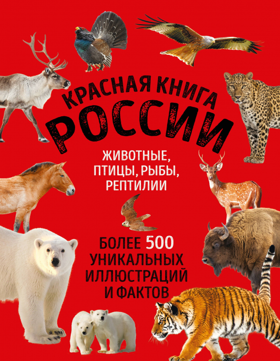 Красная книга России. Большой формат. Более 500 уникальных иллюстраций и фактов