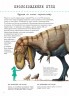 От тиранозавра к петуху! Большая книга эволюции животного мира