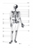 Анатомия человека: компактный атлас-раскраска