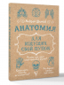 Анатомия для ищущих свой пупок