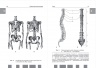 Анатомия человека: полный компактный атлас.
